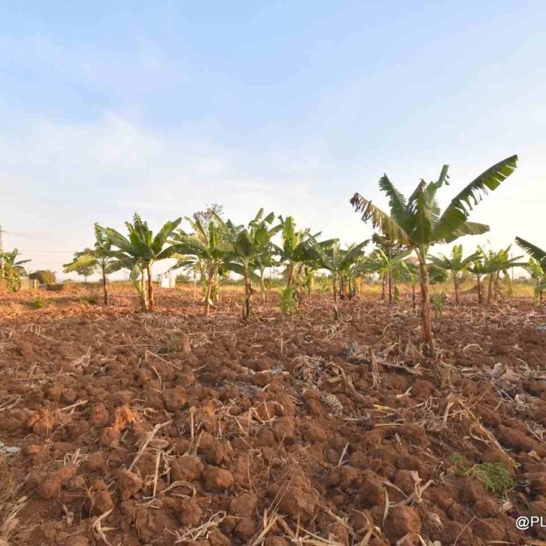Big plot for sale Masaka