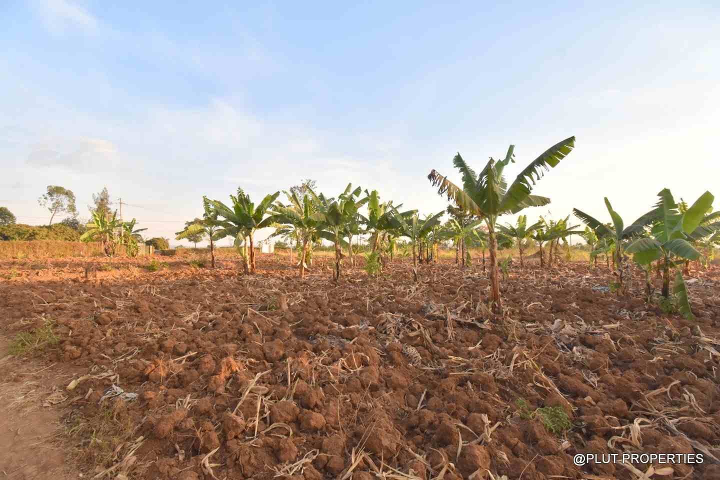 Big plot for sale in Masaka plut properties 8-100kb Big plot for sale Masaka