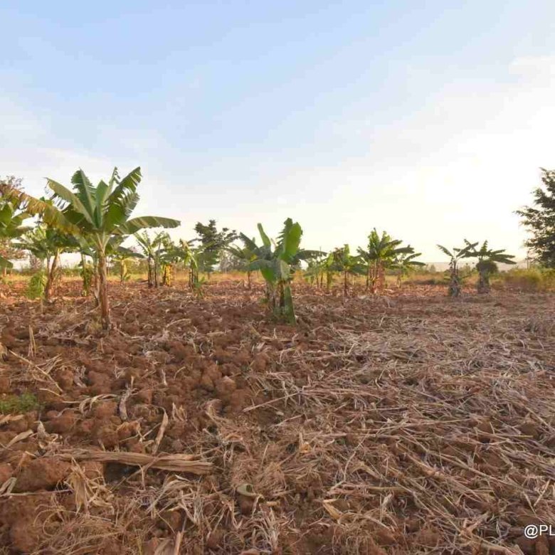 Big plot for sale Masaka