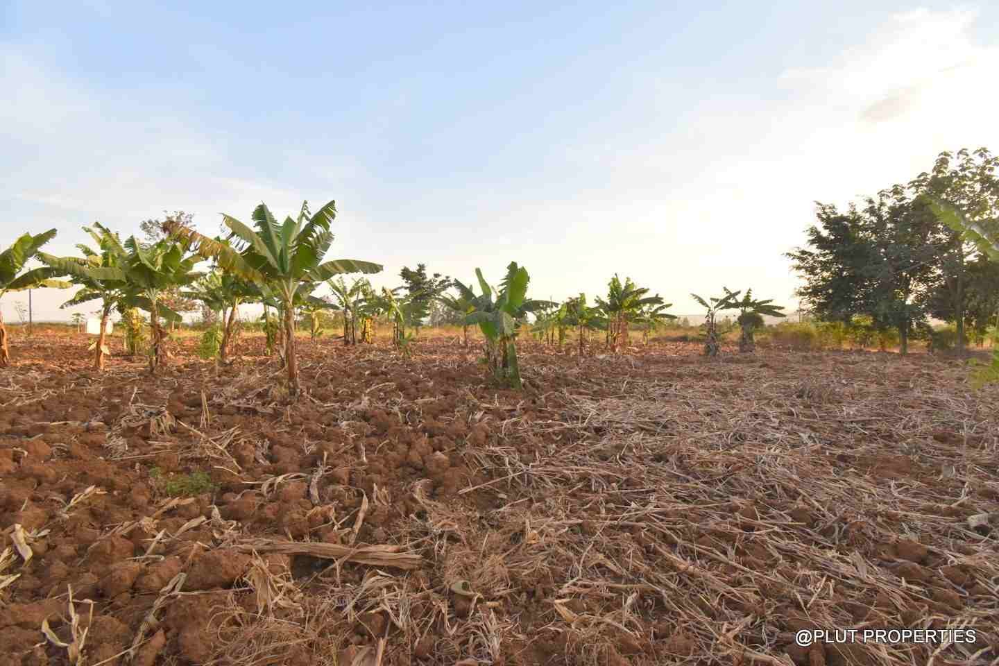 Big plot for sale in Masaka plut properties 9-100kb Big plot for sale Masaka