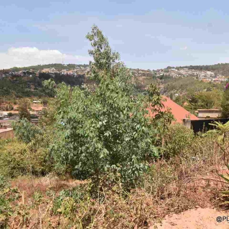 Buy Land in Rebero
