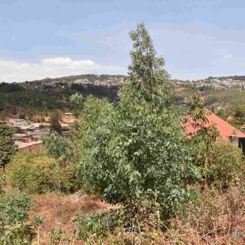 Buy Land in Rebero