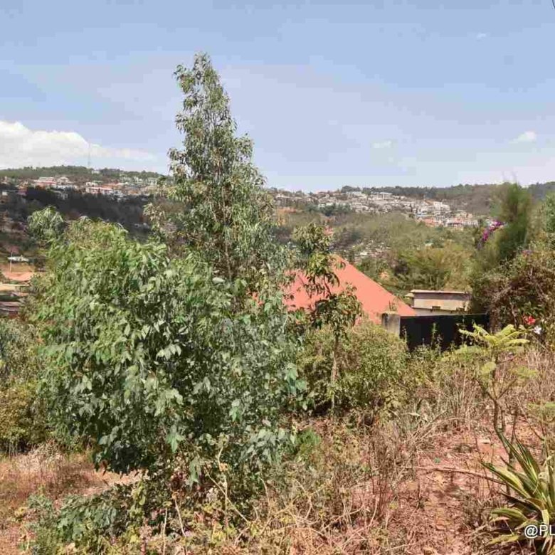 Buy Land in Rebero