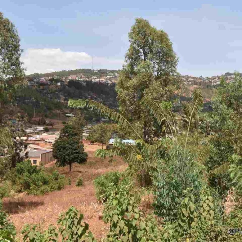 Buy Land in Rebero