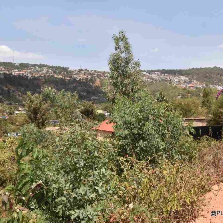 Buy Land in Rebero