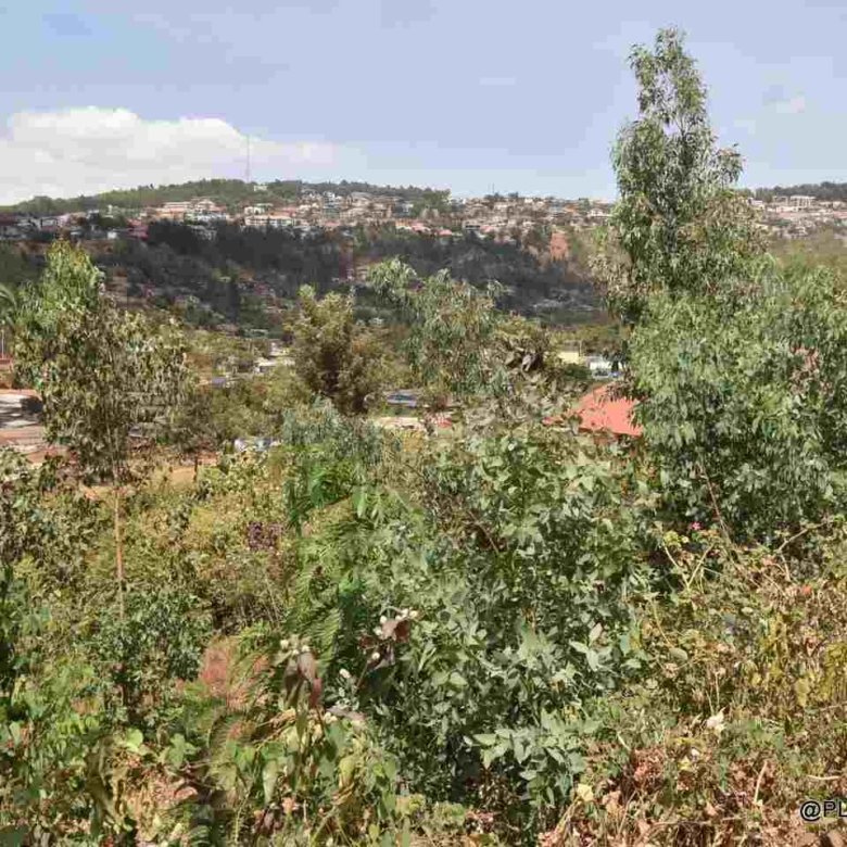 Buy Land in Rebero