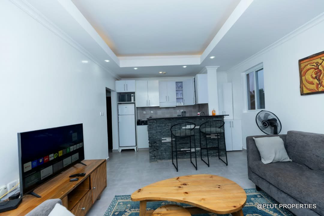 Gacuriro Kigali apartment for rent plut properties (1) Gacuriro Kigali 2 bedroom apartment.