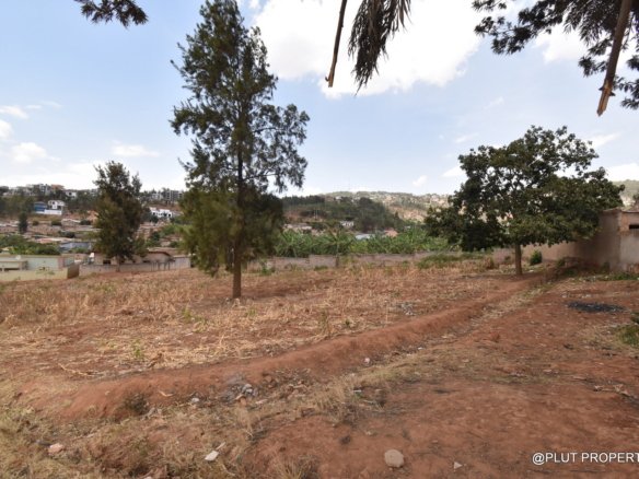 Rebero plot for sale