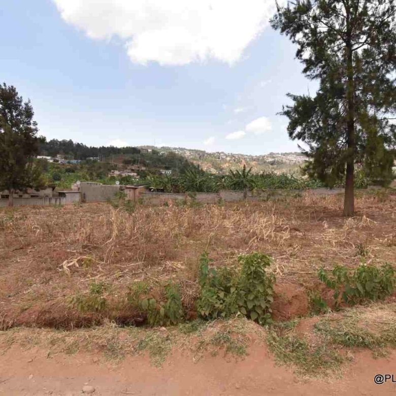 Rebero plot for sale