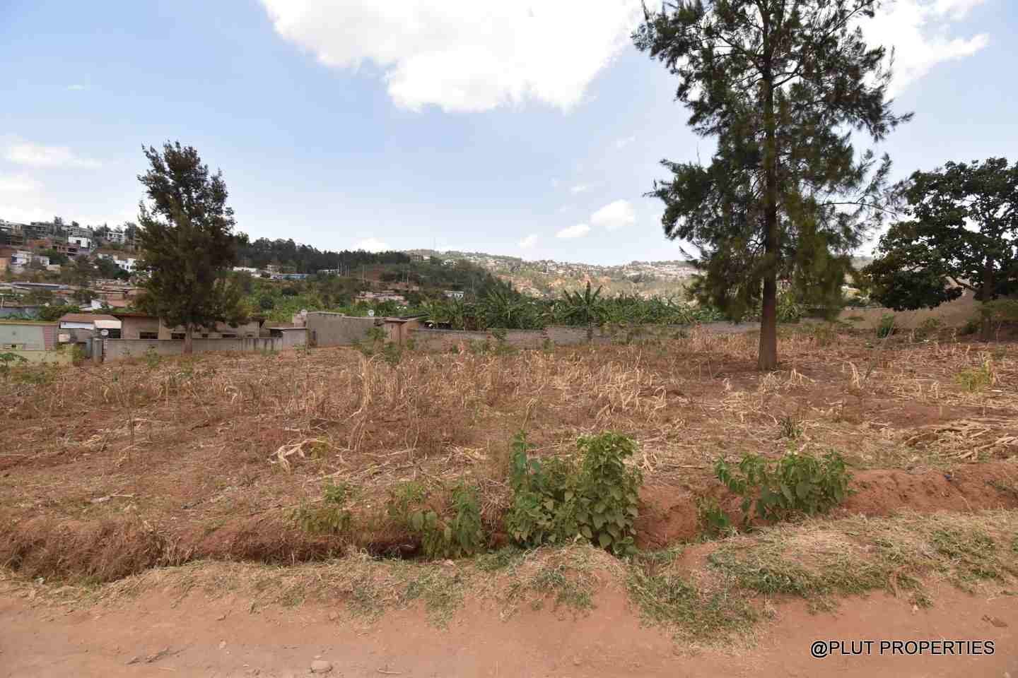 Rebero plot for sale plut properties 12-100kb Rebero plot for sale