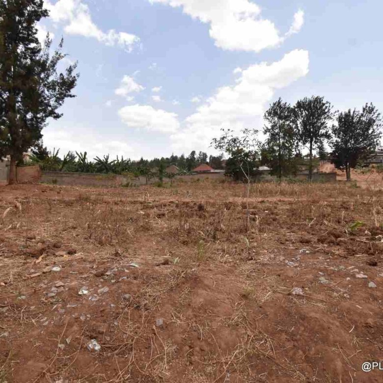 Rebero plot for sale