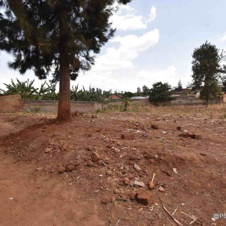 Rebero plot for sale