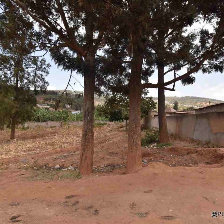 Rebero plot for sale