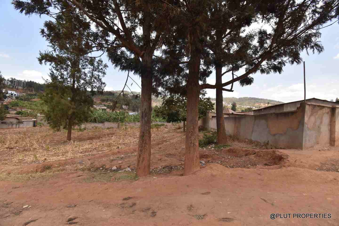 Rebero plot for sale plut properties 9-100kb Rebero plot for sale