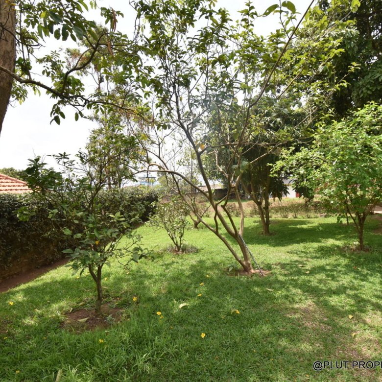 House for rent in Kagugu Kigali