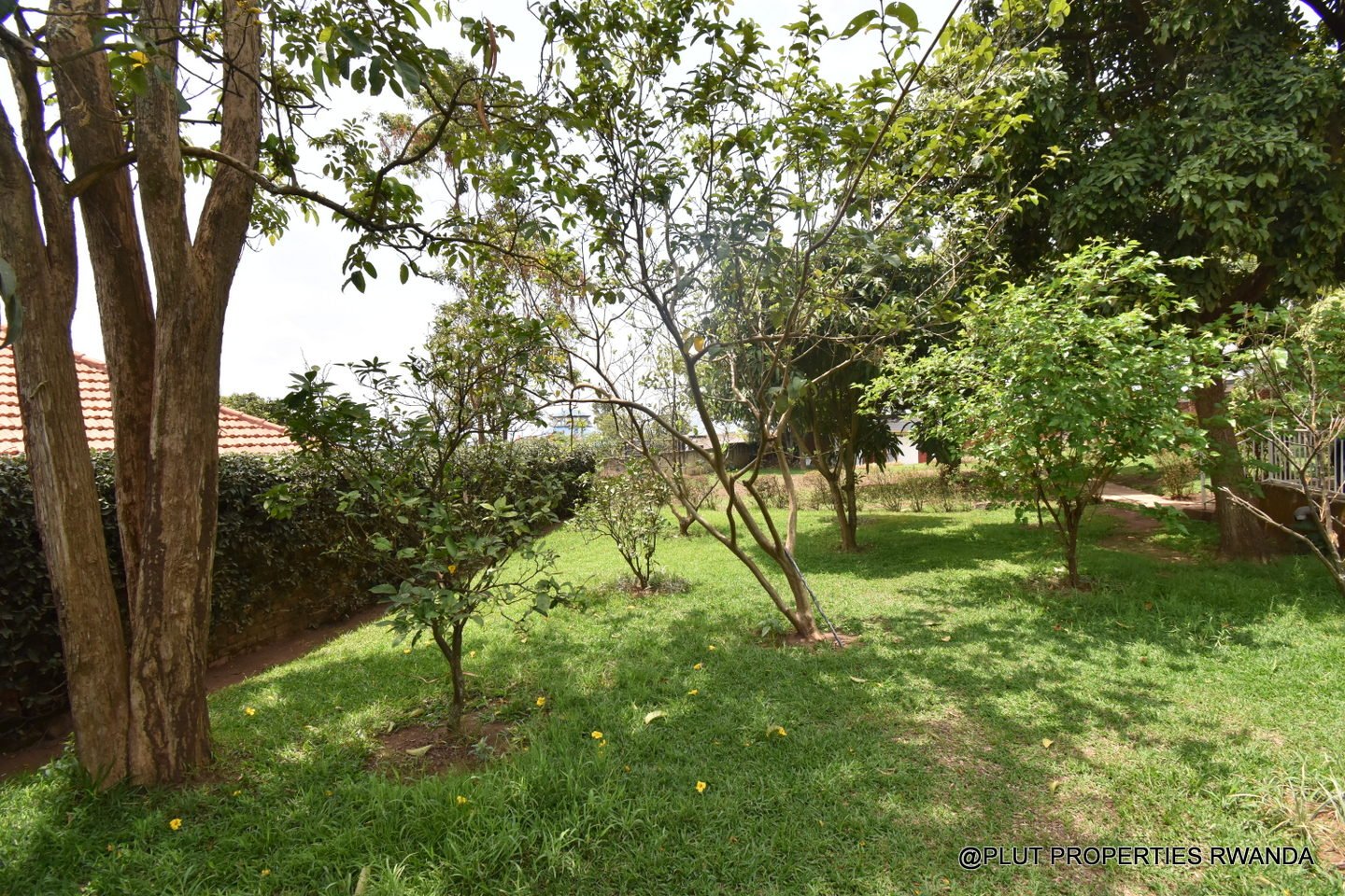 house for rent in Kagugu Kigali plut properties (9) House for rent in Kagugu Kigali