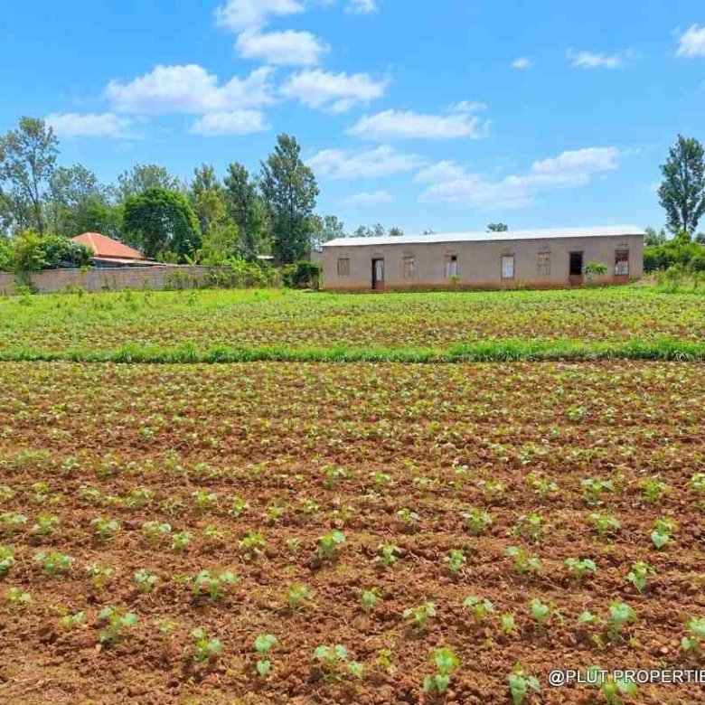 Land for sale in Bugesera Ntarama