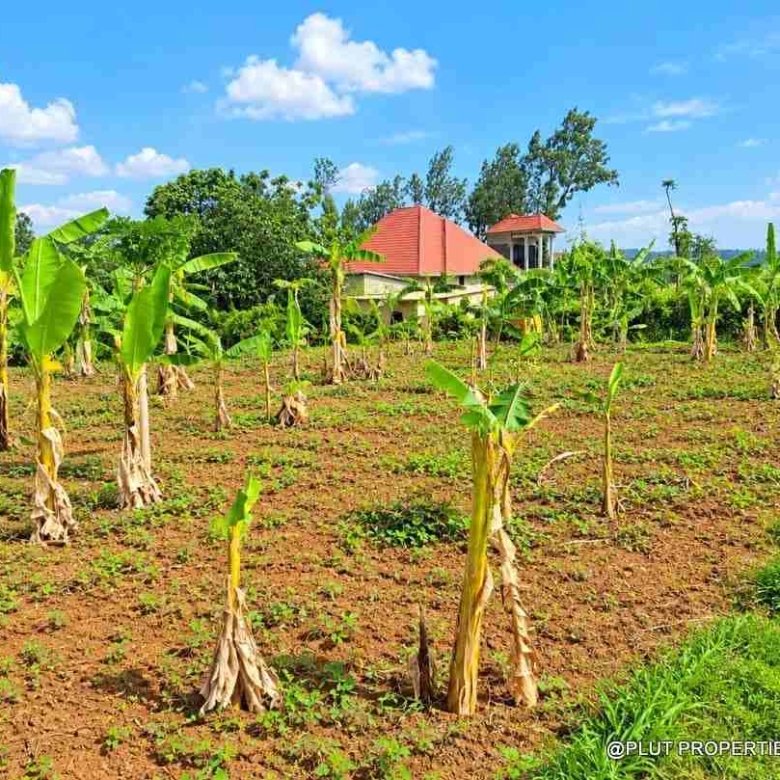 Land for sale in Bugesera Ntarama