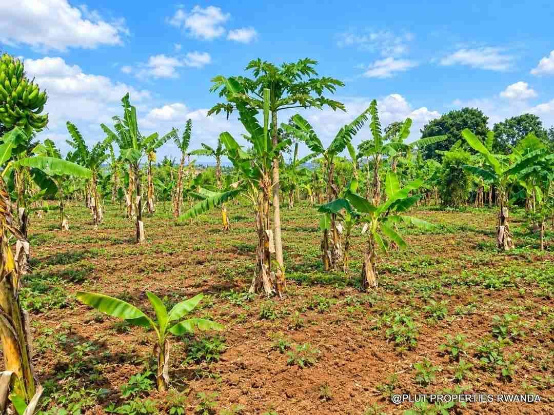 Land for sale in Bugesera Ntarama