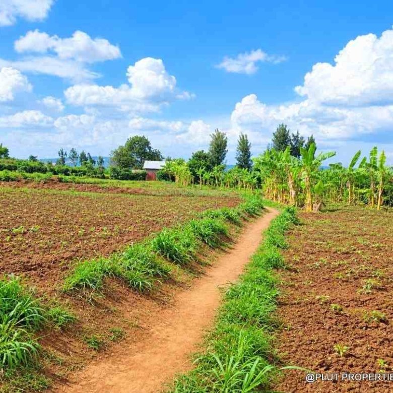 Land for sale in Bugesera Ntarama