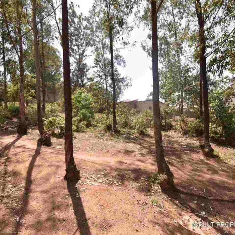 Land for sale in Gacuriro Kigali