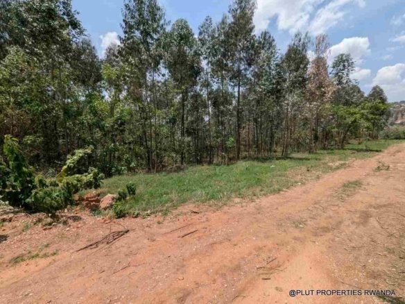 1 Hectare Plot for Sale in Jabana