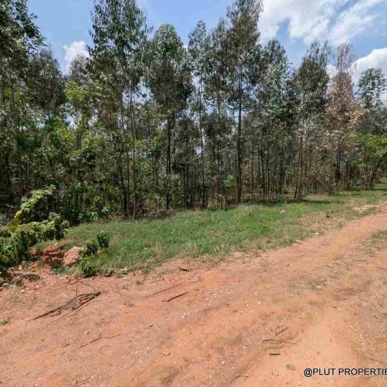 1 Hectare Plot for Sale in Jabana