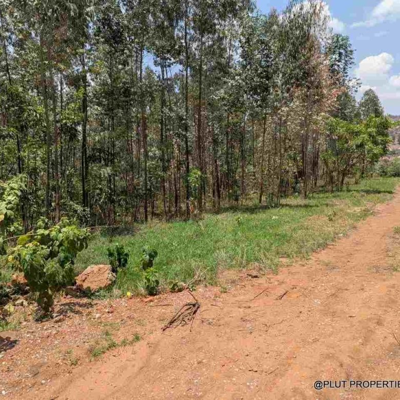 1 Hectare Plot for Sale in Jabana