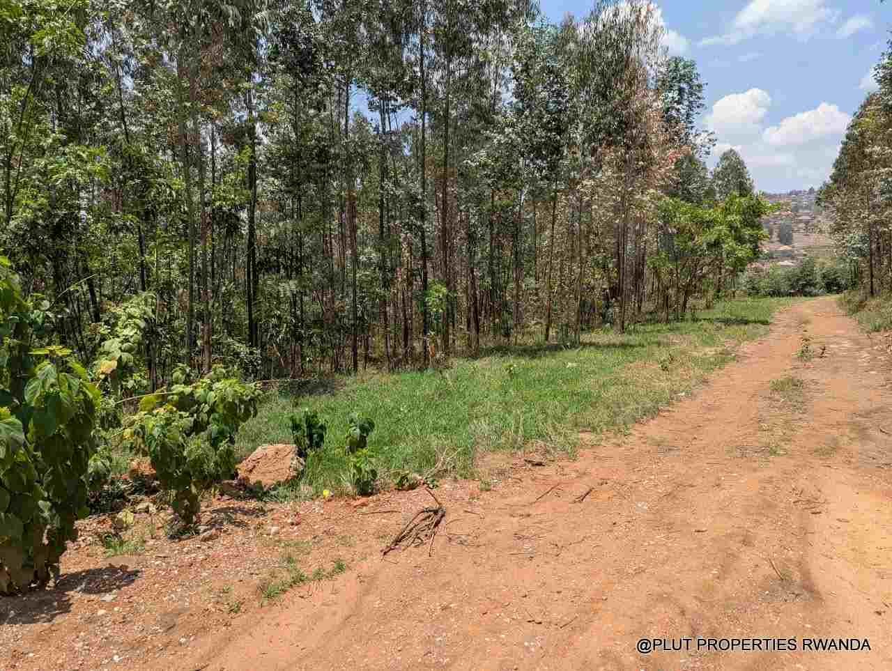 1 Hectare Plot for Sale in Jabana