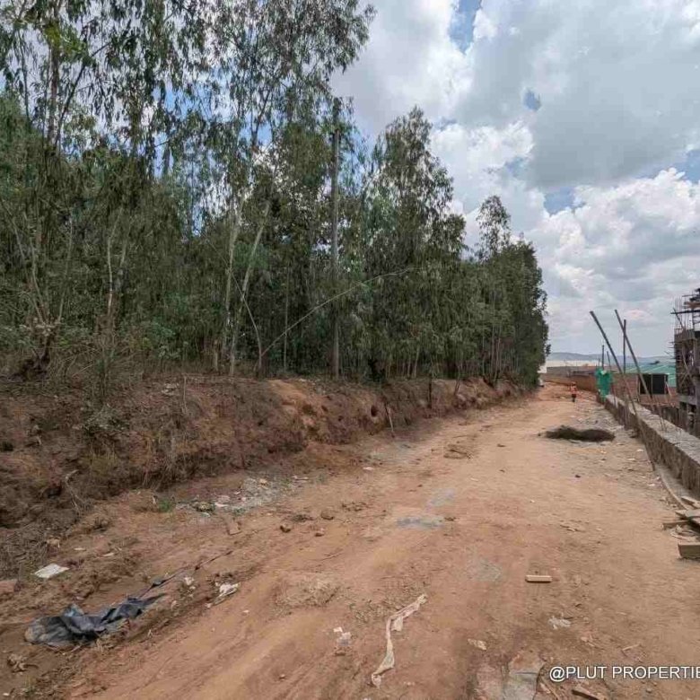 1 Hectare Plot for Sale in Jabana
