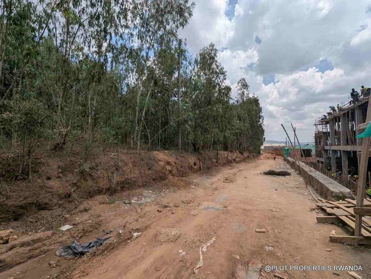 1 Hectare Plot for Sale in Jabana