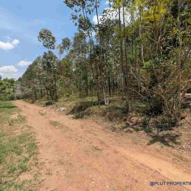 1 Hectare Plot for Sale in Jabana