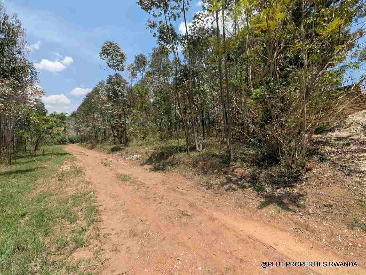 1 Hectare Plot for Sale in Jabana