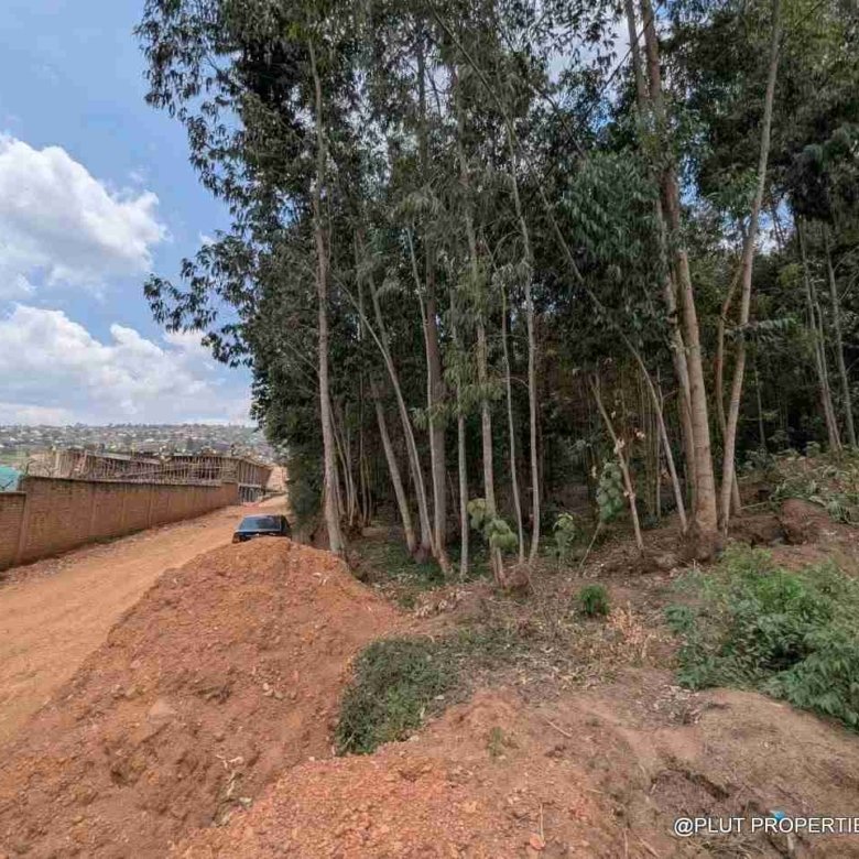 1 Hectare Plot for Sale in Jabana
