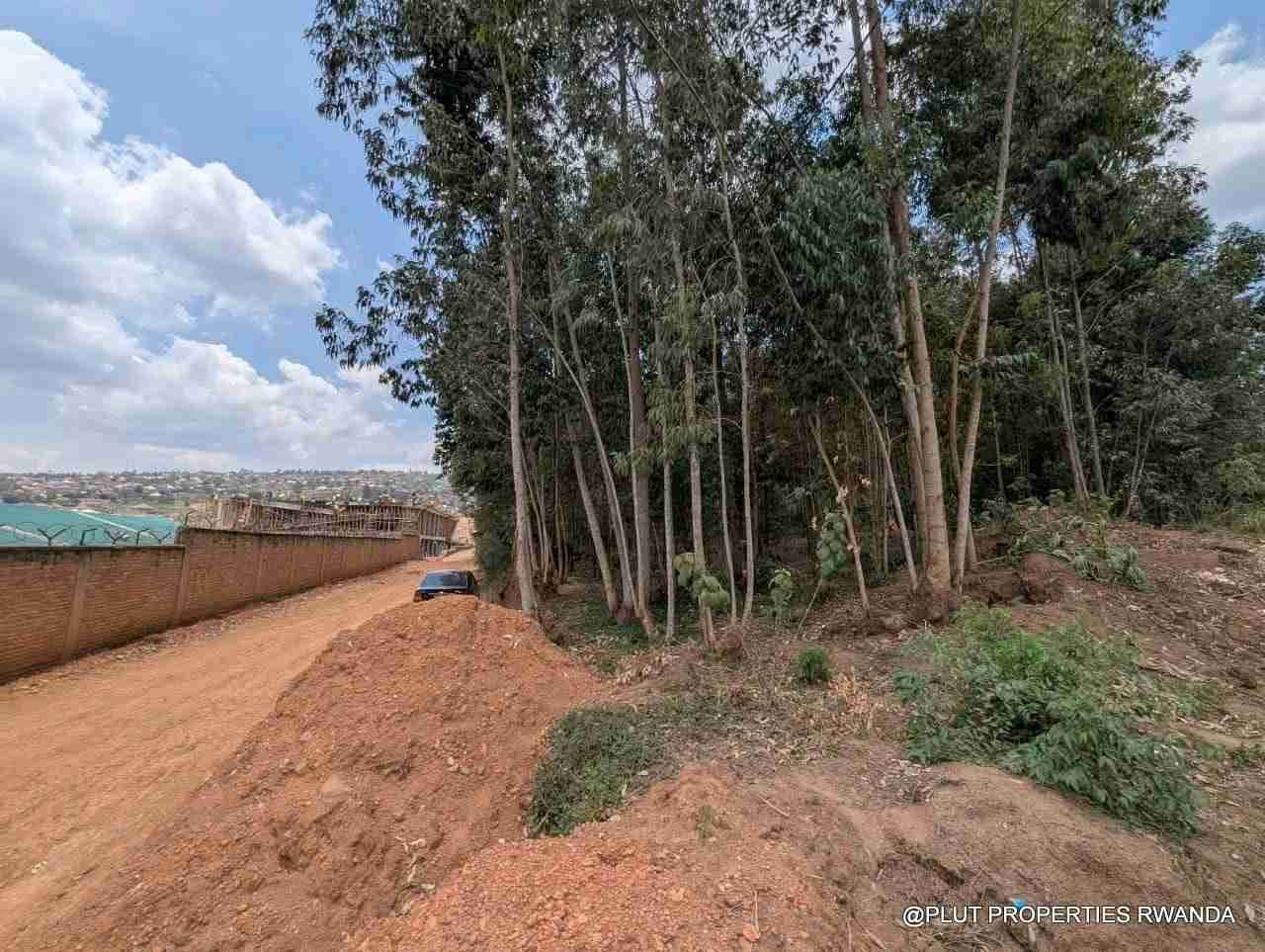 1 Hectare Plot for Sale in Jabana
