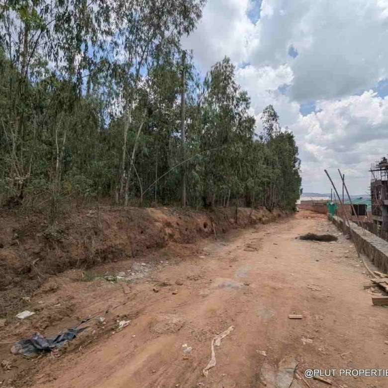 1 Hectare Plot for Sale in Jabana
