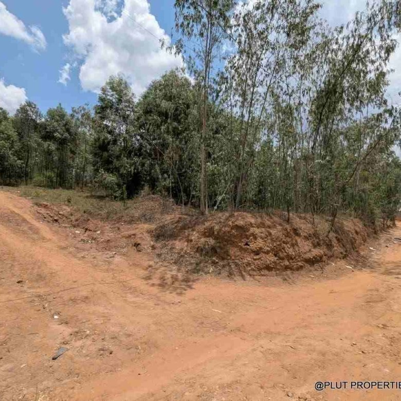1 Hectare Plot for Sale in Jabana