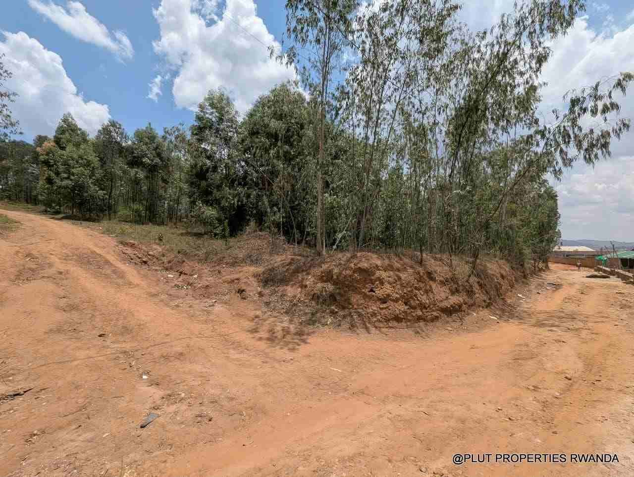 1 Hectare Plot for Sale in Jabana