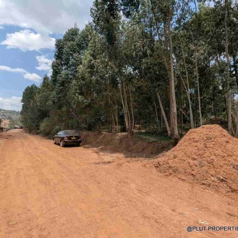 1 Hectare Plot for Sale in Jabana