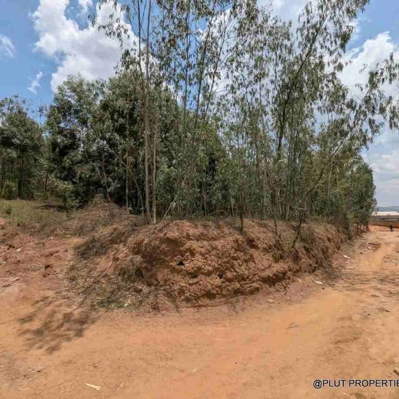 1 Hectare Plot for Sale in Jabana