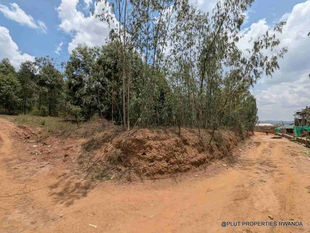 1 Hectare Plot for Sale in Jabana