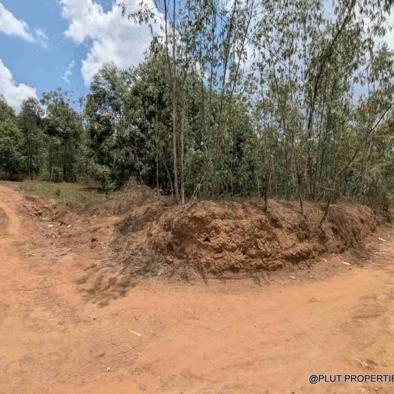 1 Hectare Plot for Sale in Jabana