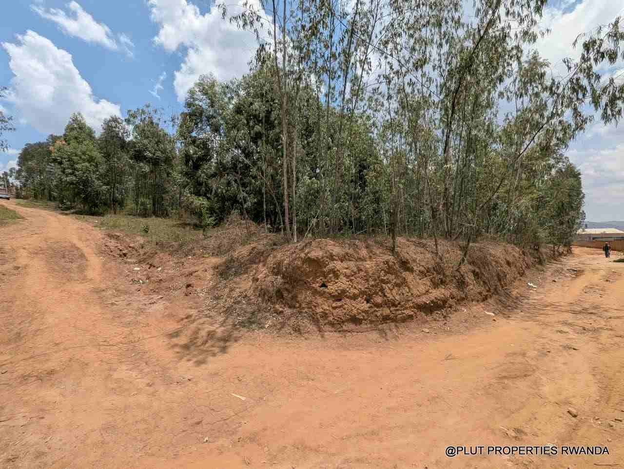 1 Hectare Plot for Sale in Jabana