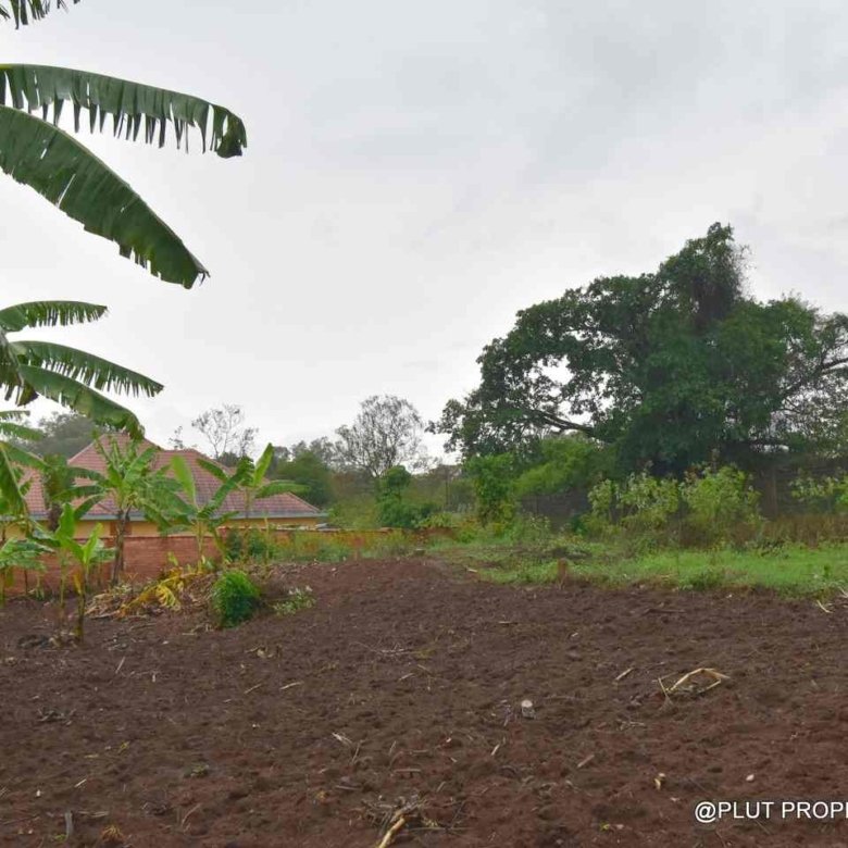 Plot for sale in Kinyinya