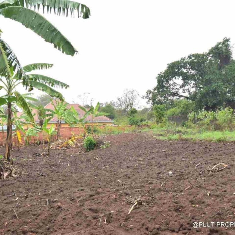 Plot for sale in Kinyinya