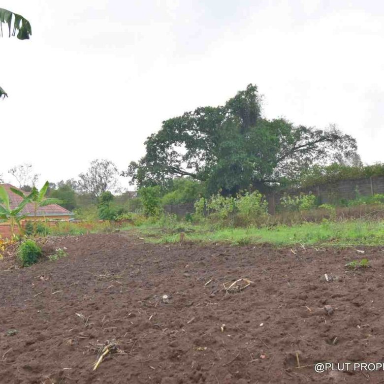 Plot for sale in Kinyinya