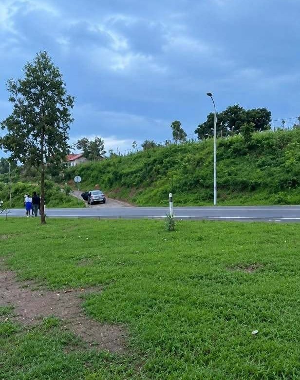 Forest plantation zone for sale in Nyamagabe