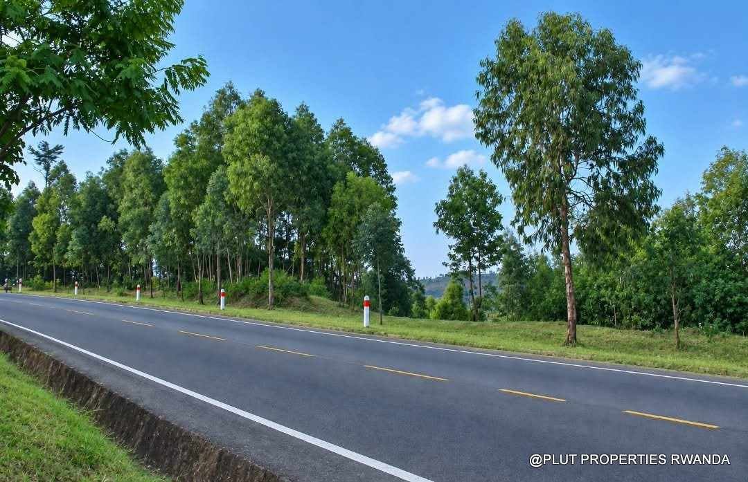 Forest plantation zone for sale in Nyamagabe