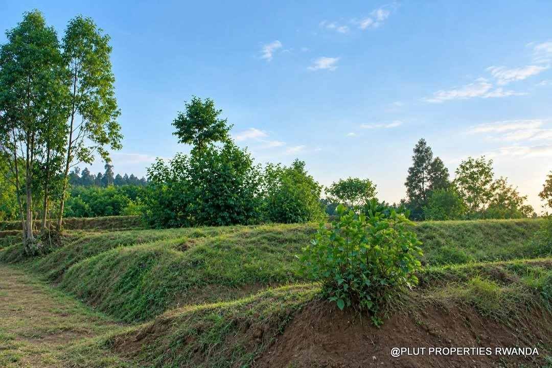 Forest plantation zone for sale in Nyamagabe