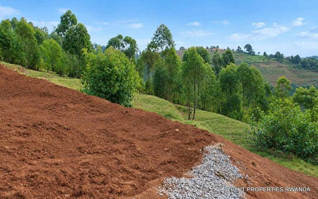 Forest plantation zone for sale in Nyamagabe